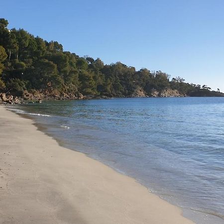 Chambre Independante Avec Jardin Privatif La Londe-les-Maures Dış mekan fotoğraf